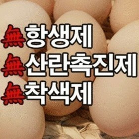 대영농장 계란 40알 - 창녕우포누리